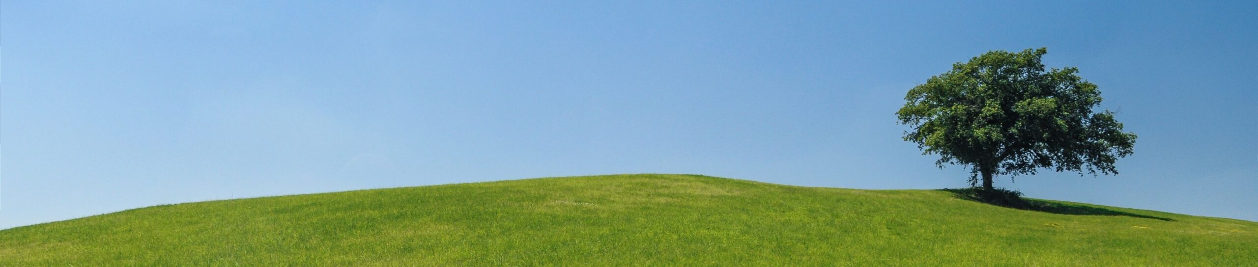 はじめての方へ